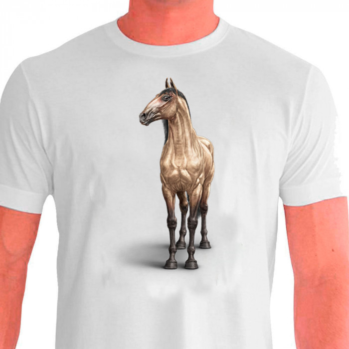 Camiseta Casual Campolina Pardo - 100% Dry Fit