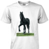Camiseta Casual Mangalarga Marchador 2