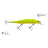 Iscas Brutal 1400 - DIVERSAS 1400 Div - Cor -04